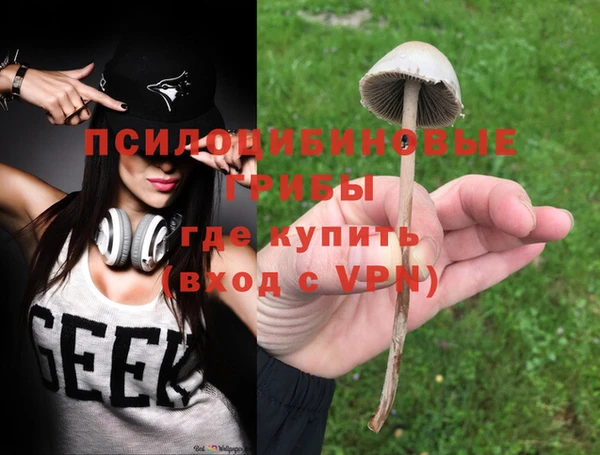 ALPHA PVP Армянск